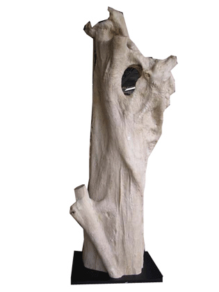 Organic Lamp made from recycled  tree