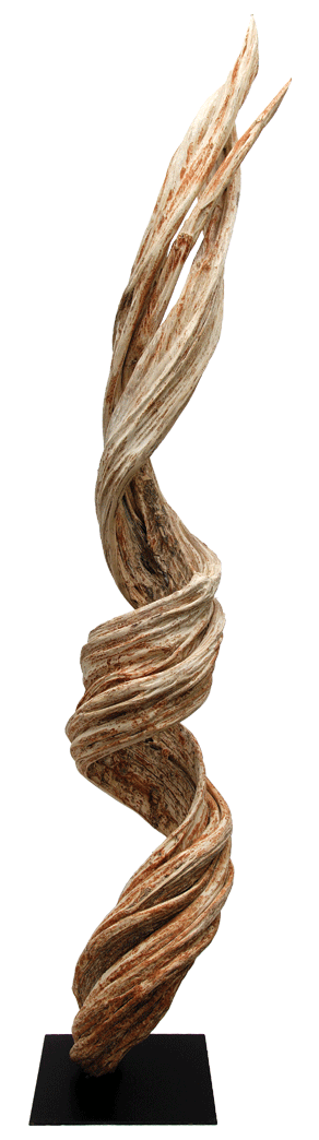 naturally twisted tropical vine mounted on a stand, liana