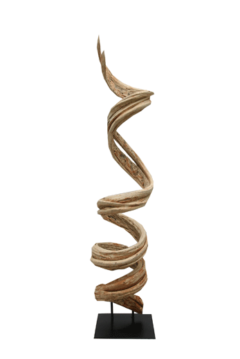 naturally twisted liana vine on a stand