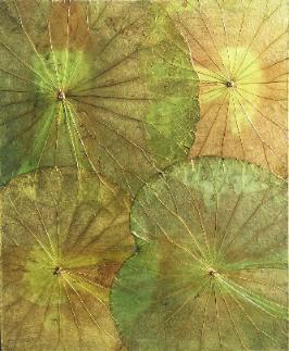 lotus leaf wall hanging