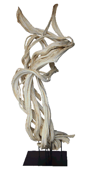 tropical liana vine on stand