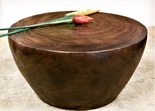 organic contemporary natural wood coffee table